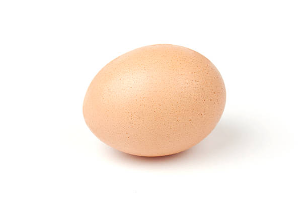 brown egg stock photo