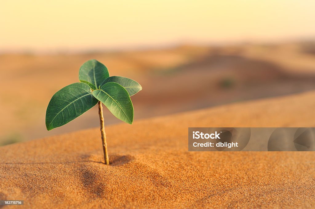 Andare verde - Foto stock royalty-free di Affari