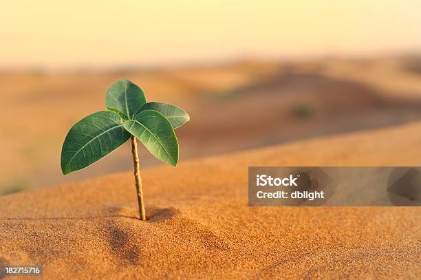 Andare Verde - Fotografie stock e altre immagini di Affari - Affari, Ambientazione esterna, Avversità