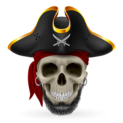 Bearded pirate skull in red bandana and cocked hat