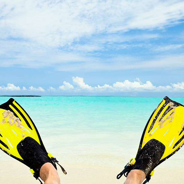 istock exotic tropical beach and perfect spot for snorkelling 182715849