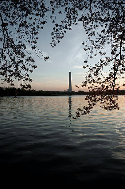 istock Washington Monument and Chery Blossoms at sunrise 182716749