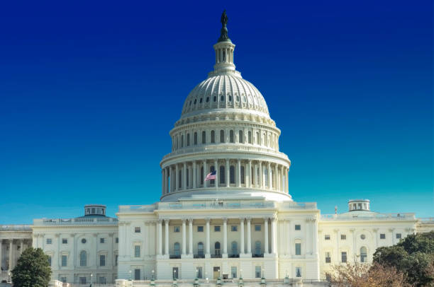 istock Capitol Building in Washington, DC, USA 1827169326