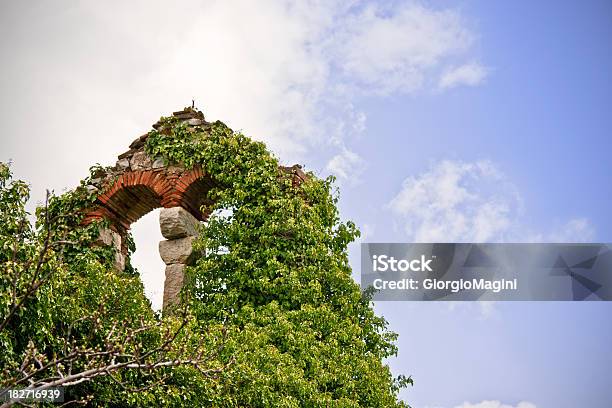 Rovine Architettonico Coperti Dalla Natura Regione Del Chianti In Toscana - Fotografie stock e altre immagini di Ambientazione esterna