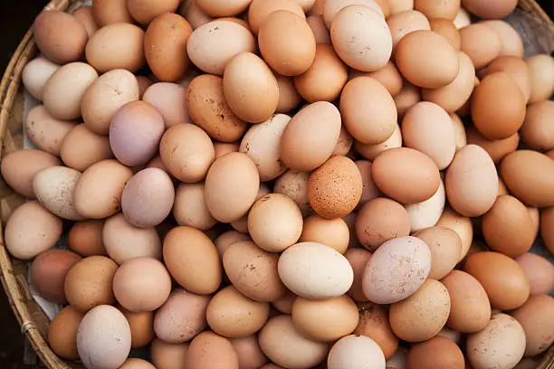 Photo of chicken eggs
