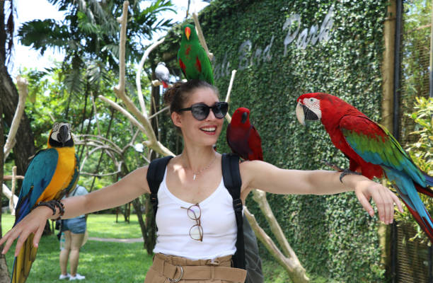 istock Bali bird park - Bali 1827175225