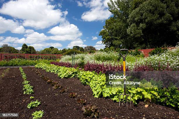 Jardín De Vegetales Foto de stock y más banco de imágenes de Agricultura - Agricultura, Aire libre, Alimento