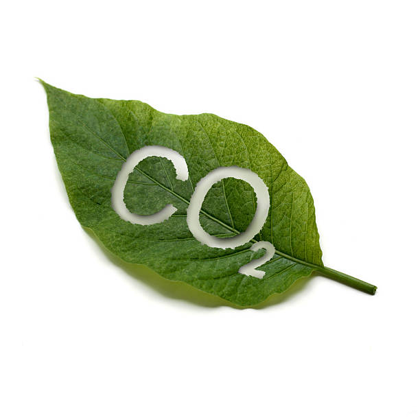 A green leaf with co2 written on it green leaf on white background, with CO2 for Carbon Dioxide cut out, illustrating the function of plants to process CO2 carbon dioxide stock pictures, royalty-free photos & images