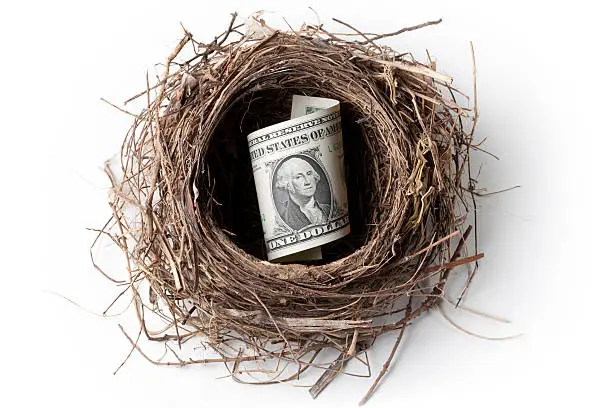 Photo of Nest with one dollar banknote
