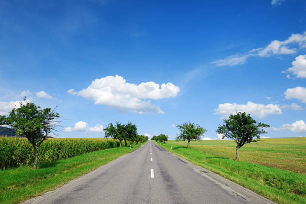 landschaft-straße in den grünen feldern - strammer max stock-fotos und bilder