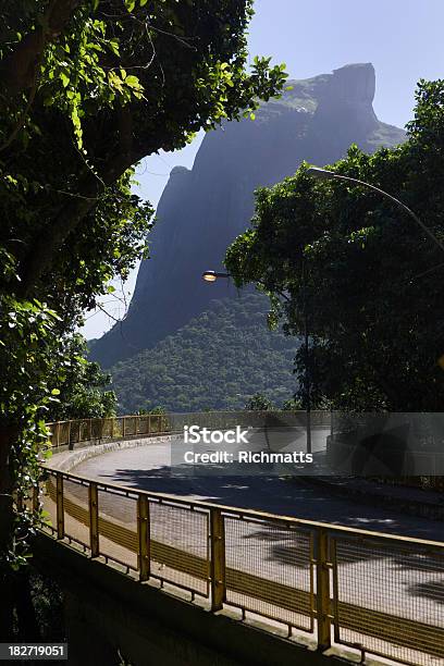 Rio De Janeiro Road Crossing Forest Stock Photo - Download Image Now - Beauty In Nature, Brazil, Capital Cities