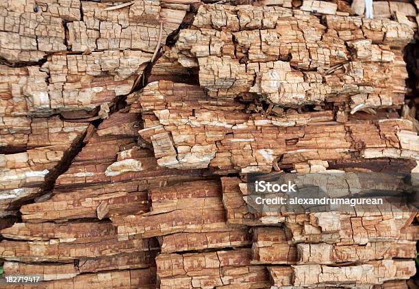 Foto de Rotten De Madeira e mais fotos de stock de Antigo - Antigo, Apodrecer, Fotografia - Imagem