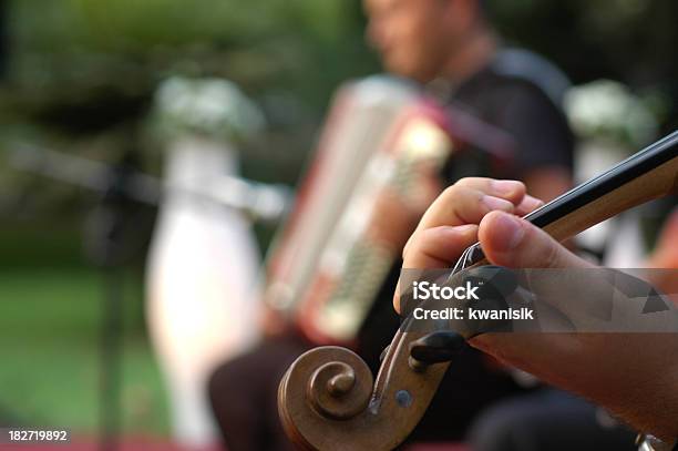 Músico Rendimiento En Una Fiesta En El Jardín Foto de stock y más banco de imágenes de Acordeón - Instrumento - Acordeón - Instrumento, Violín, Celebración - Ocasión especial