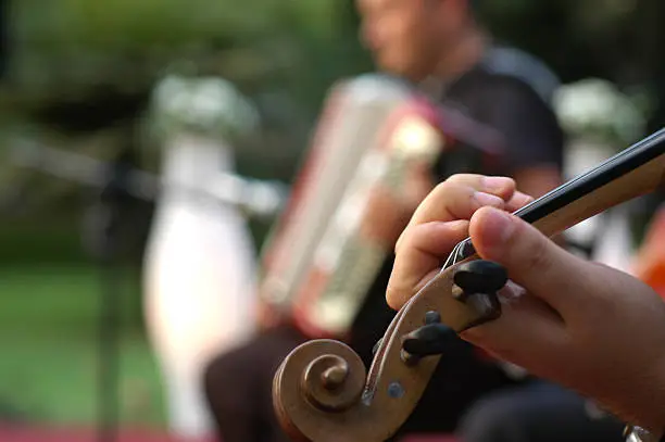 musician performance in garden party