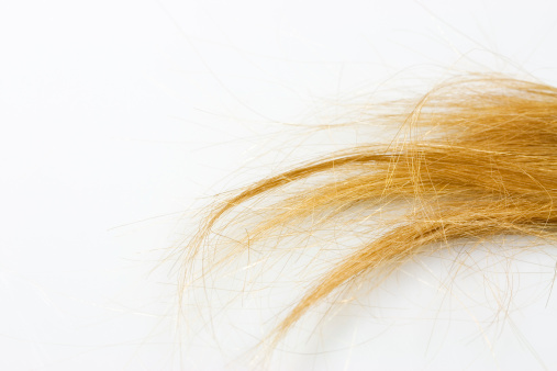 tuft of blond hair on white background.