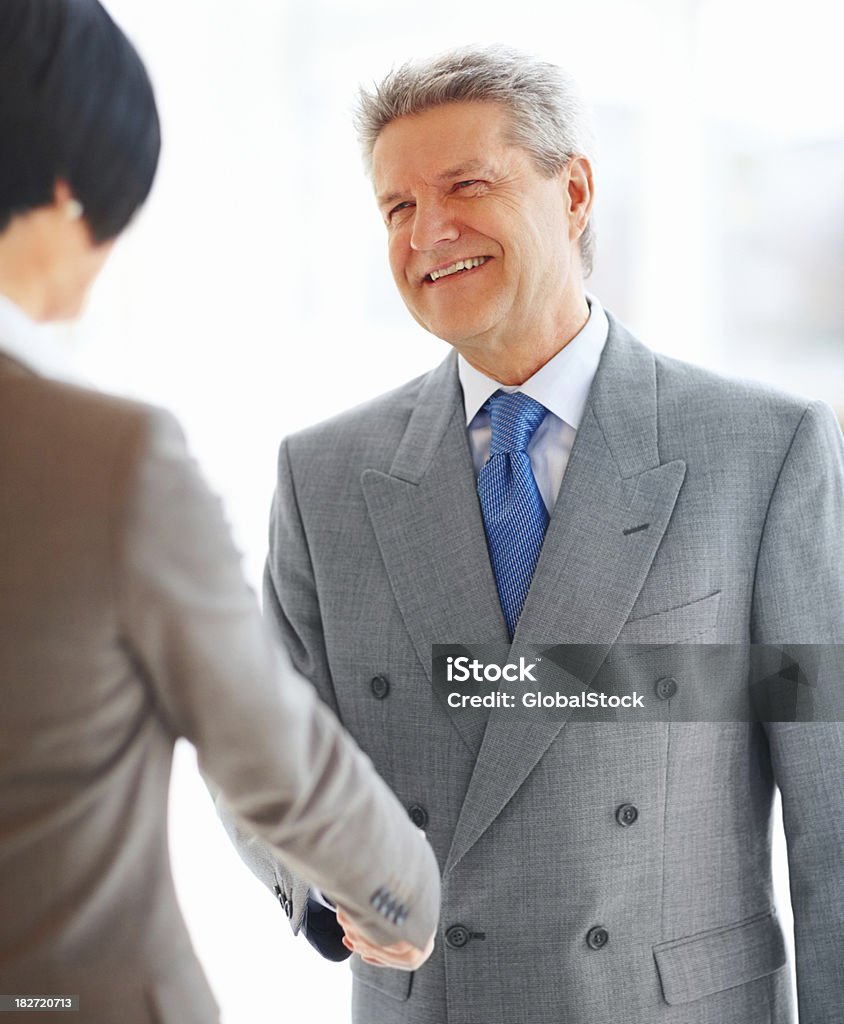 Successful business colleagues shaking hands - Стоковые фото 25-29 лет роялти-фри