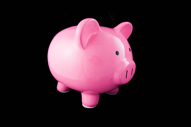 istock Piggy Bank 182720830