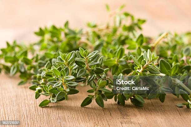 Thyme Stock Photo - Download Image Now - Lemon Thyme, Close-up, Color Image