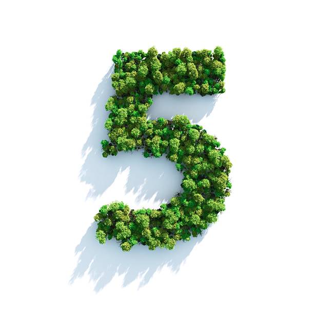 Numeros Naturales - Banco de fotos e imágenes de stock - iStock Numeros Naturales - Banco de fotos e imágenes de stock - iStock