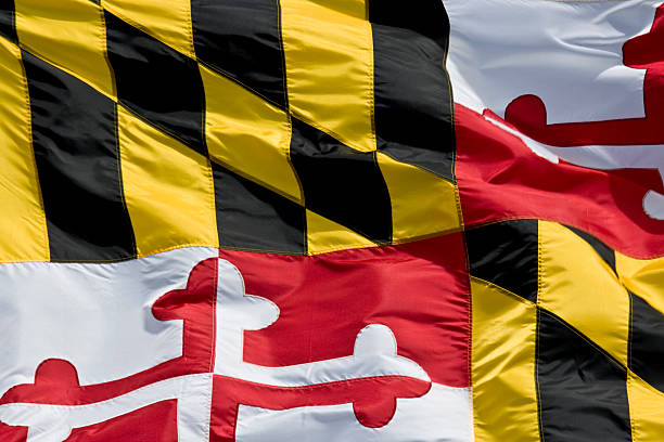 Maryland State Flag Closeup stock photo