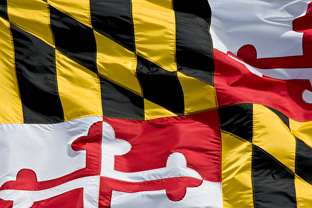 flaga stanowa maryland, zbliżenie - maryland flag state maryland state flag zdjęcia i obrazy z banku zdjęć