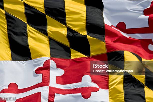 Grande Plano Da Bandeira Do Estado De Maryland - Fotografias de stock e mais imagens de Bandeira do estado de Maryland - Bandeira do estado de Maryland, Amarelo, Ao Ar Livre