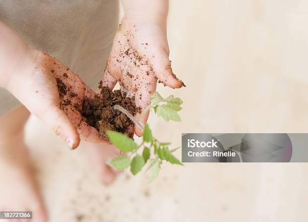 El Aprendizaje De Por Vida Foto de stock y más banco de imágenes de Agarrar - Agarrar, Agricultura, Aprender