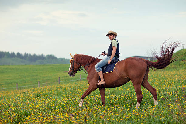 istock Cowboy on his horse 182721672