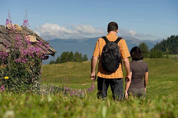 ウォーキング自然の - travel seiseralm mountain european alps ストックフォトと画像