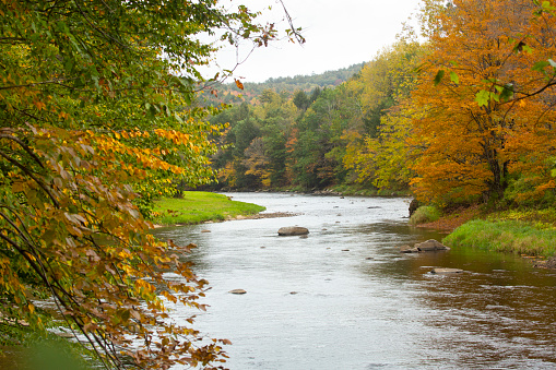 Autumn foliage along a curving Sugar River in Newport, New Hampshire, near the Newport/Claremont Rail Trail.
