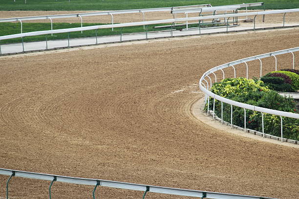 horse racing track - sha tin stock-fotos und bilder