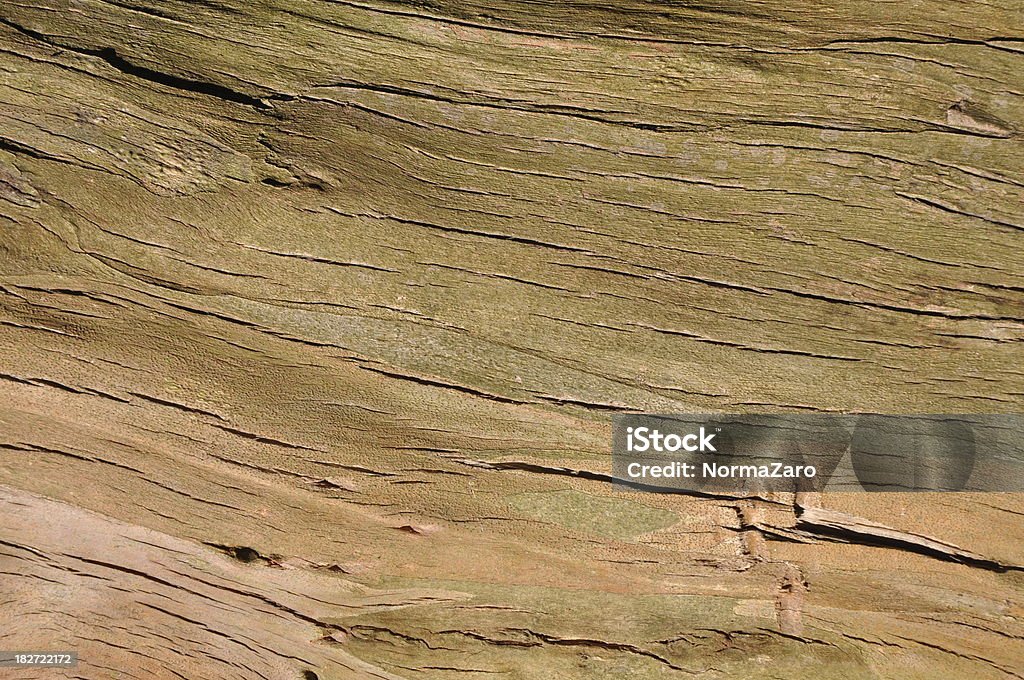 Texture di legno - Foto stock royalty-free di Albero