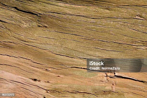 Texture Di Legno - Fotografie stock e altre immagini di Albero - Albero, Arredamento, Bosco