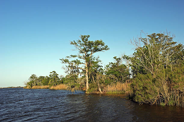 istock Barrier Island Marshlands Georgia USA 2 182722589