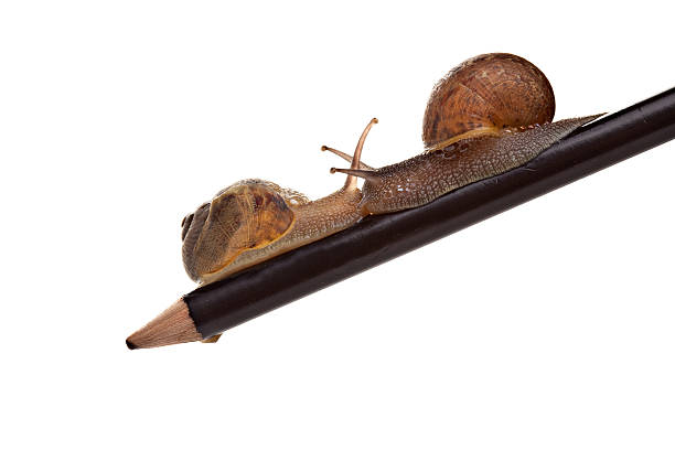 istock I got the right of way. 182723188