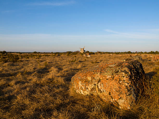 istock Landscape at the Swedish island Gotland 182723879