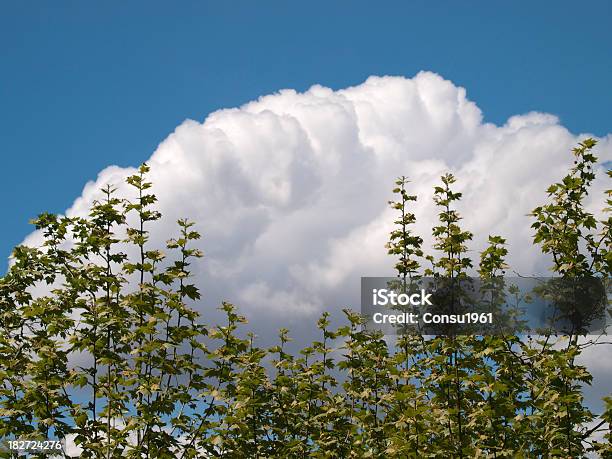 Cielo De Mayo Foto de stock y más banco de imágenes de Aire libre - Aire libre, Azul, Azul turquesa