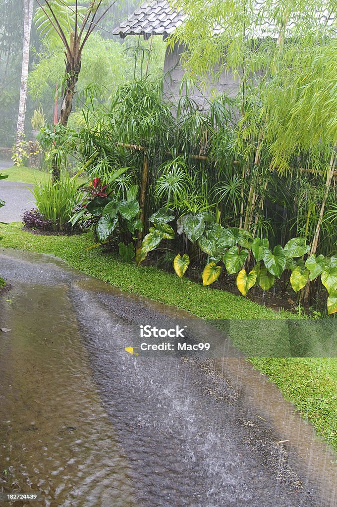 Heavy Rain Asia Stock Photo