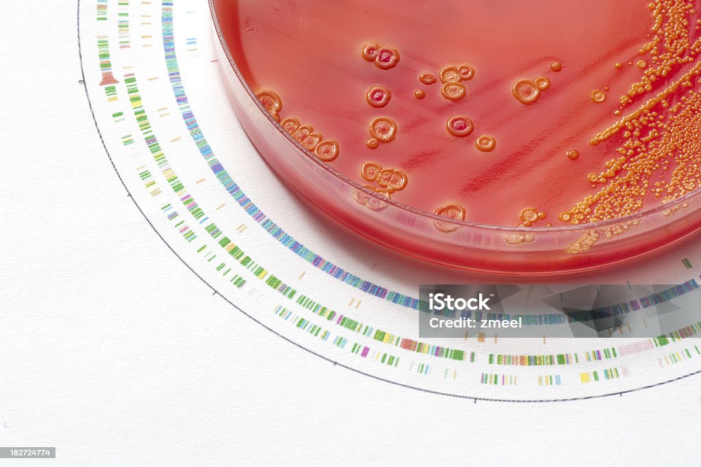 Genoma batterica - Foto stock royalty-free di Batterio