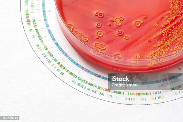 Genoma Batterica - Fotografie stock e altre immagini di Batterio - Batterio, Composizione orizzontale, DNA
