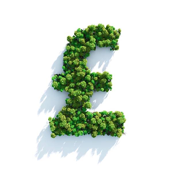 Pound: Top View "Highly detailed tree alphabet on a white background. Morning light with projected shadows, which can be multiplied in an editing software for an easy composite over your own background. Lit with global radiosity." pound symbol stock pictures, royalty-free photos & images