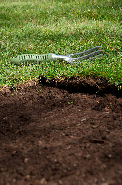 istock Work tool left in the garden on the grass 182724999