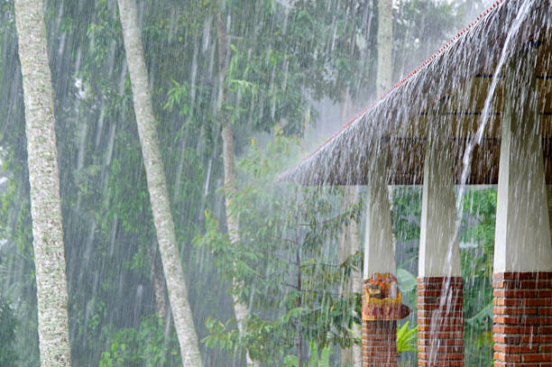 lluvia fuerte - rain monsoon rainforest storm fotografías e imágenes de stock