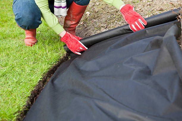Gardener protecting laying weed with barrier fabric