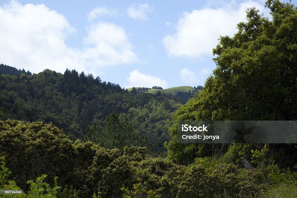 Die üppige Landschaft. - Lizenzfrei Abgeschiedenheit Stock-Foto