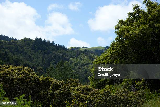 Paisagem Fantástica - Fotografias de stock e mais imagens de Ao Ar Livre - Ao Ar Livre, Cena Não Urbana, Cena Rural