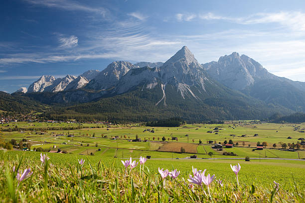 summer meadow cerca ehrwald - austria mountain panoramic ehrwald fotografías e imágenes de stock