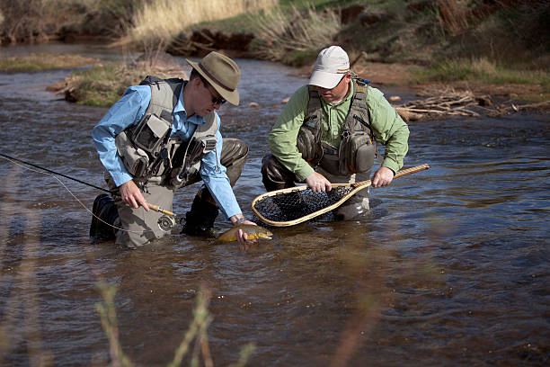 Fly Fishing Guide Catch and Release stock photo