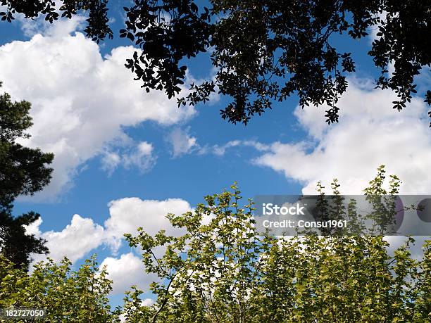 Cielo De Mayo Foto de stock y más banco de imágenes de Aire libre - Aire libre, Azul, Azul turquesa