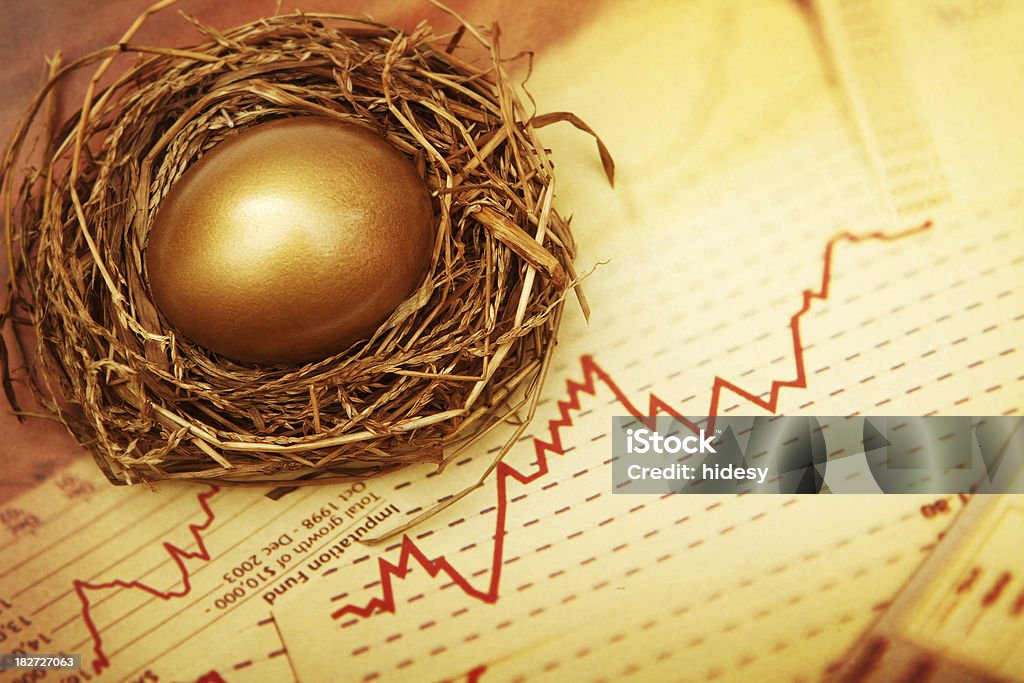 Gniazdować Jajko danych - Zbiór zdjęć royalty-free (Nest Egg - powiedzenie angielskie)